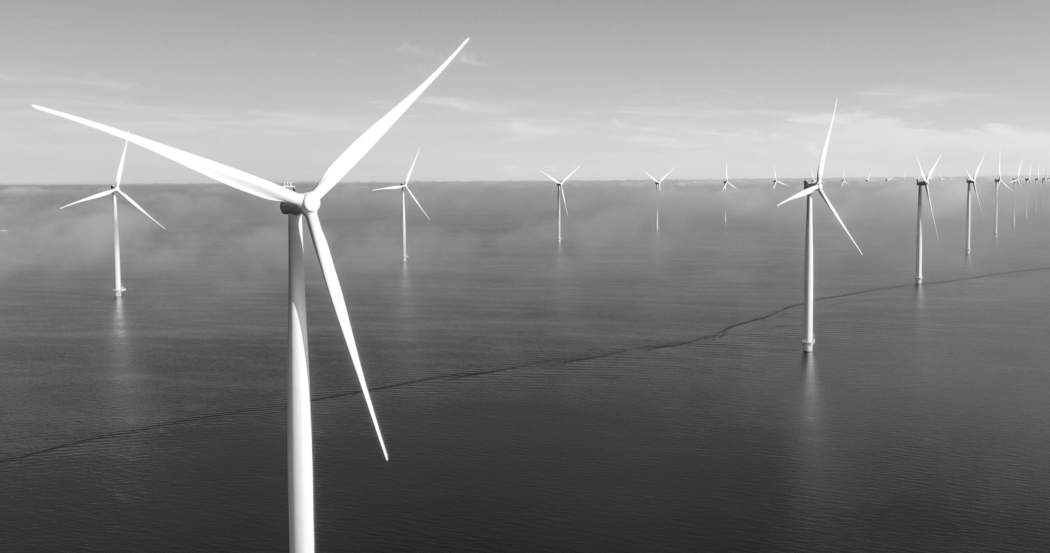 reuter-legal-wind-farm.jpg